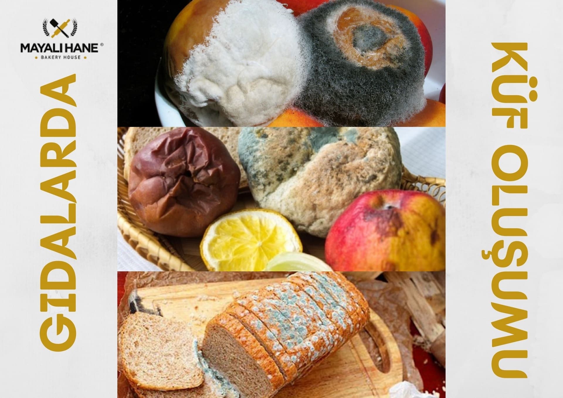 Gıdalarda Neden Küf Oluşur